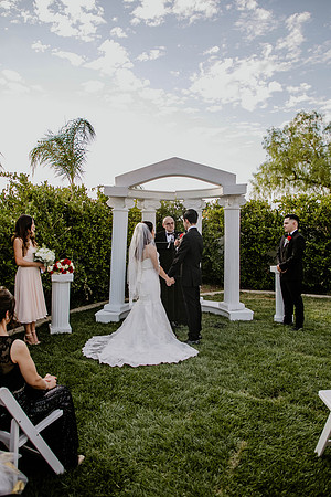 Wedding Day (279)