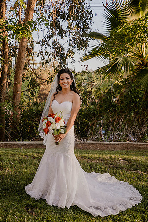 Wedding Day (422)
