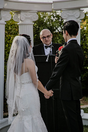 Wedding Day (276)