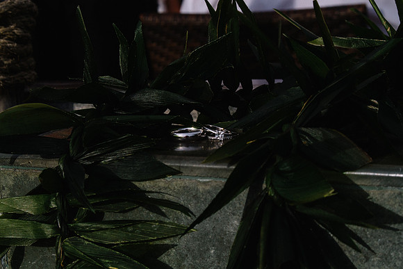 Wedding Photos (440)