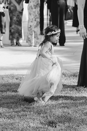 Jess & Sabrina's Wedding Day84