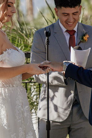 Wedding Day482