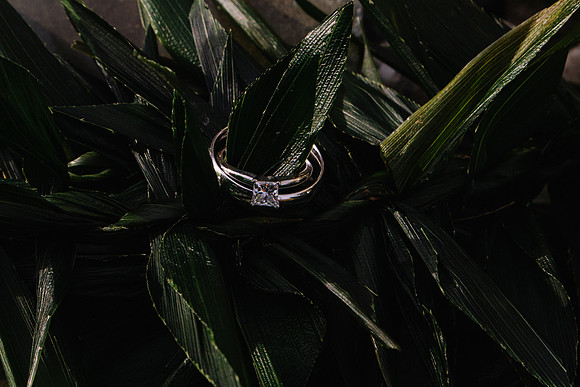 Wedding Photos (443)
