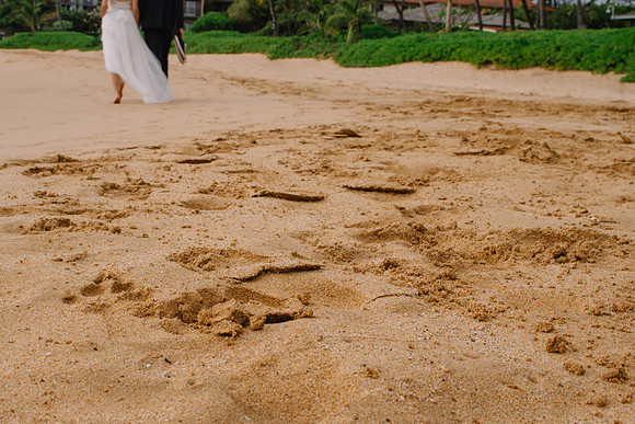 Wedding Photos (433)
